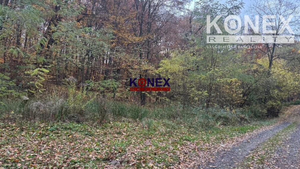 ID-3046 Rekreačný pozemok na výstavbu chaty pri VT