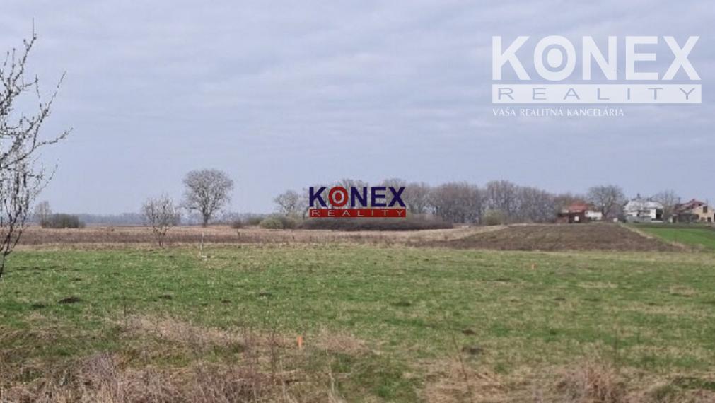 ID-8783 NA PREDAJ - Pozemok pre RD v obci Malčice