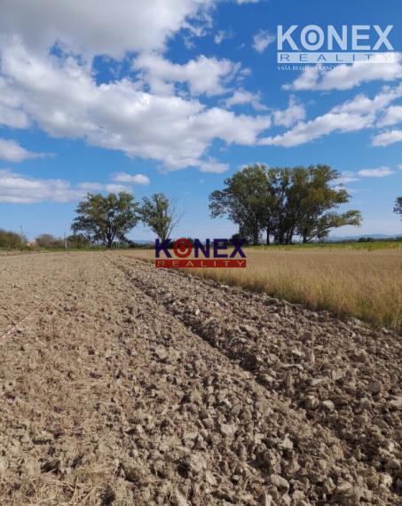 ID-3399 NA PREDAJ – VEĽKÝ POZEMOK S DOMOM V OBCI MOKRANCE