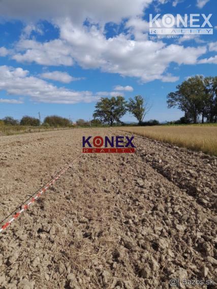 ID-3399 NA PREDAJ – VEĽKÝ POZEMOK S DOMOM V OBCI MOKRANCE