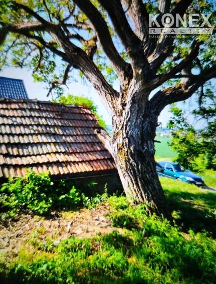 ID-3518 Vinica pri obci BORŠA – NA PREDAJ