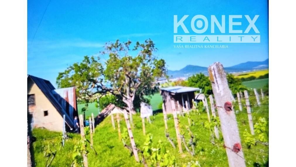 ID-3518 Vinica pri obci BORŠA – NA PREDAJ