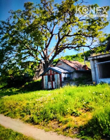 ID-3518 Vinica pri obci BORŠA – NA PREDAJ