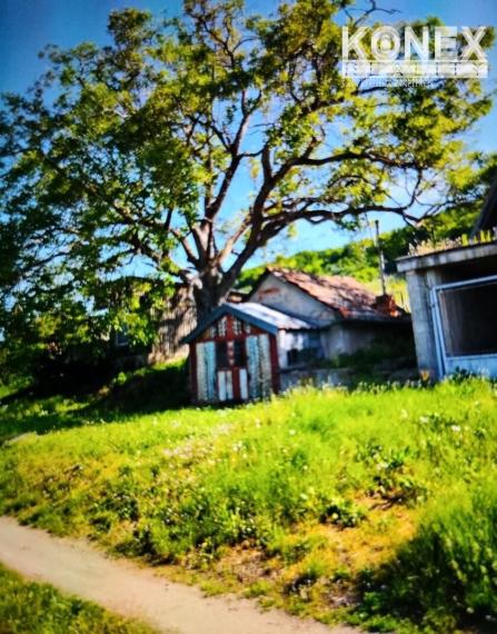 ID-3522 Chatka s vinicou pri obci BORŠA – NA PREDAJ