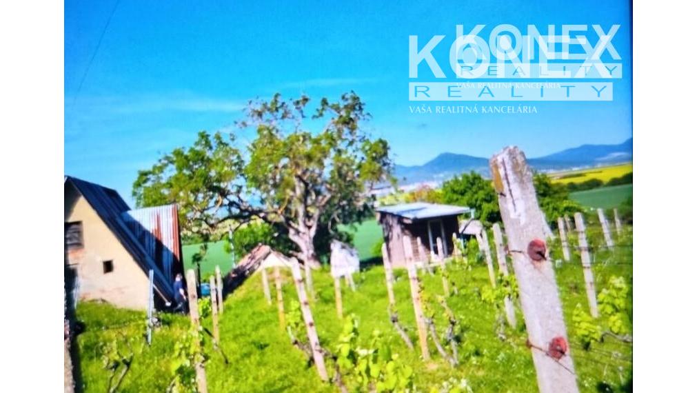 ID-3522 Chatka s vinicou pri obci BORŠA – NA PREDAJ