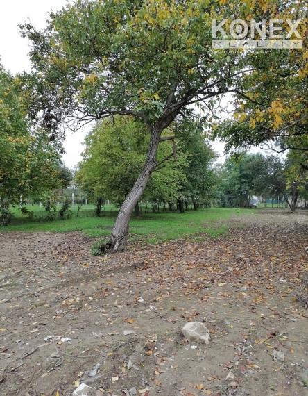 ID-3738 NA PREDAJ POZEMOK (záhrada) – Michalovce, časť Topoľany