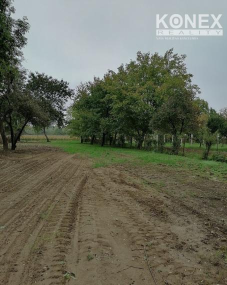 ID-3738 NA PREDAJ POZEMOK (záhrada) – Michalovce, časť Topoľany