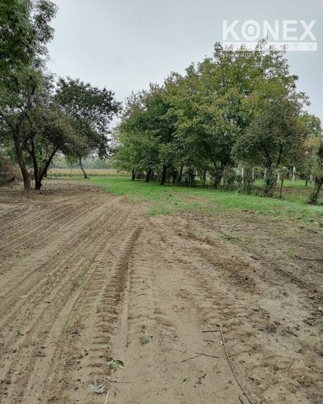 ID-3738 NA PREDAJ POZEMOK (záhrada) – Michalovce, časť Topoľany