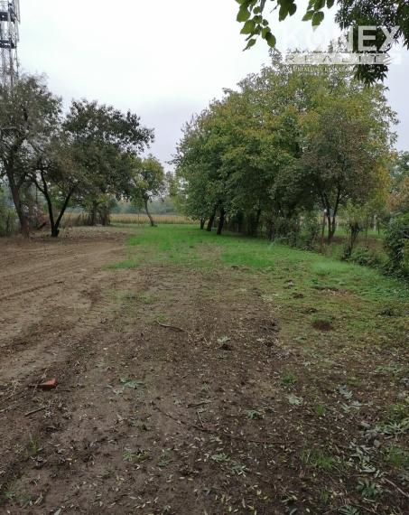 ID-3738 NA PREDAJ POZEMOK (záhrada) – Michalovce, časť Topoľany