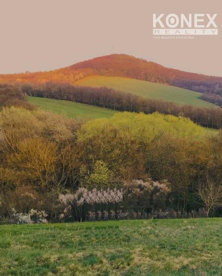 ID-3793 POZEMOK na výstavbu – JASTRABIE nad TOPĽOU