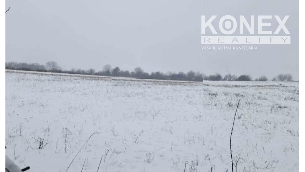 ID-3819 NA PREDAJ Rozsiahly pozemok so starším domom Felsőtelekes – Maďarsko