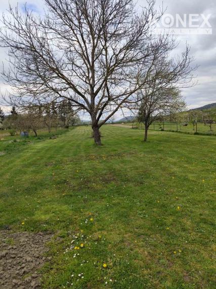 ID-3890 LEN U NÁS – RD pri Humennom – LACKOVCE