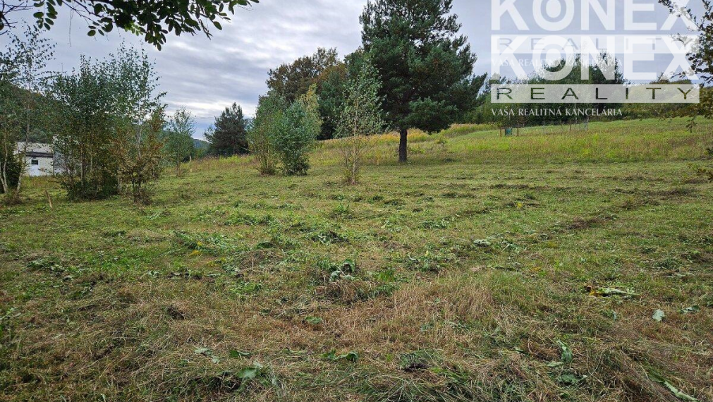 ID-3989 POZEMOK na výstavbu - VEĽKÝ ŠARIŠ