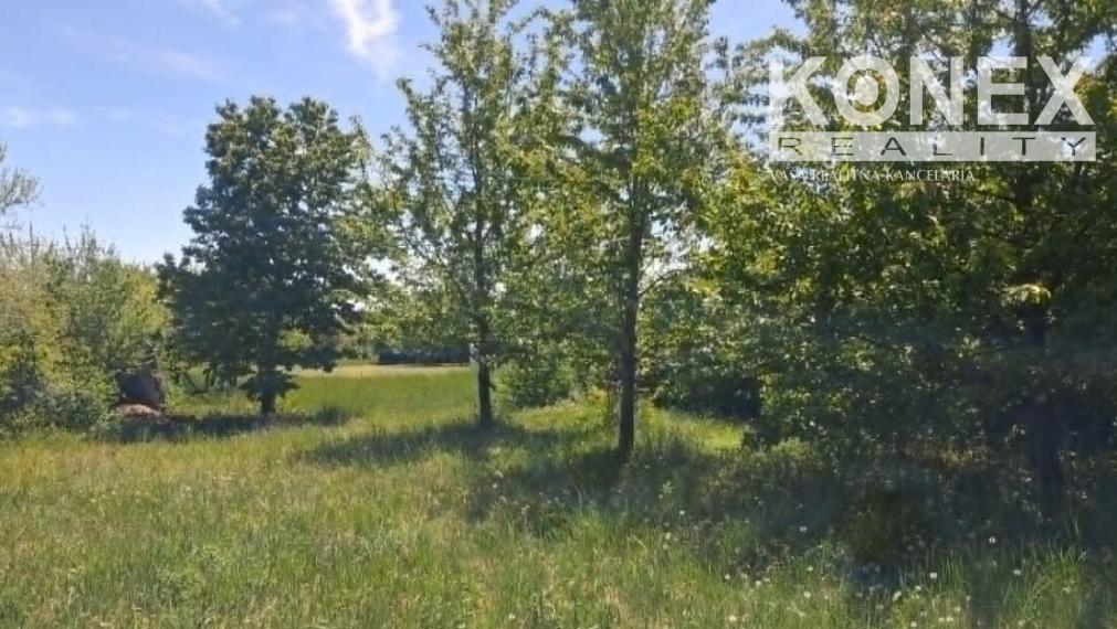 ID-3996 Rekreačný pozemok s chatkou SEČOVCE