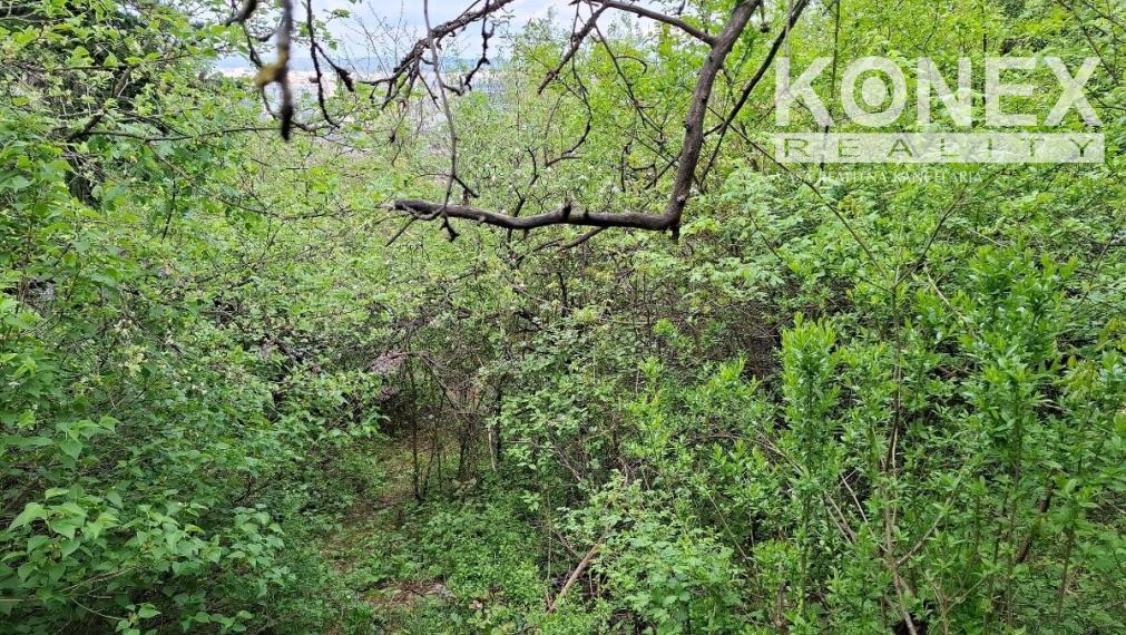 ID-4035 Záhrada na predaj – Košice – Nižná Úvrať
