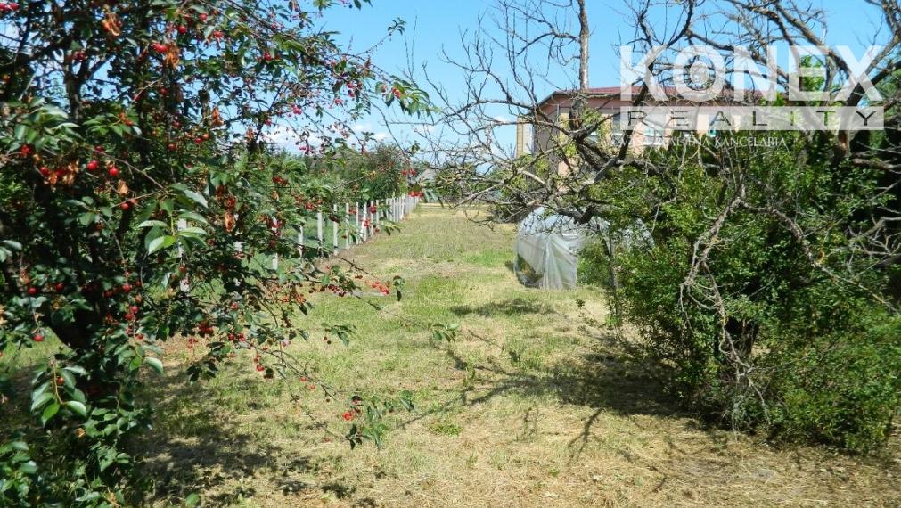 ID-4297 Na predaj rodinný dom v obci Čičarovce, okres Michalovce