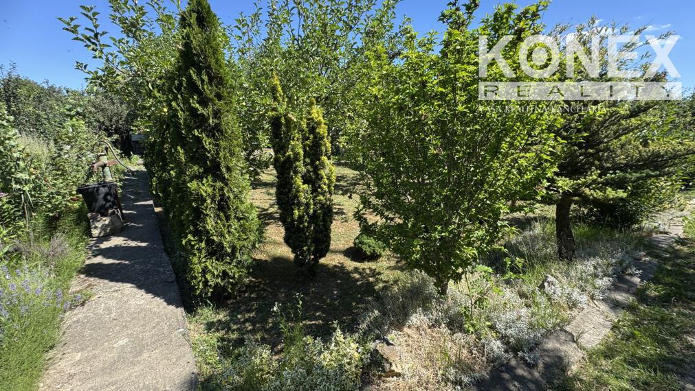 ID-4346 NOVINKA Rekreačná záhradka s chatkou – MICHALOVCE