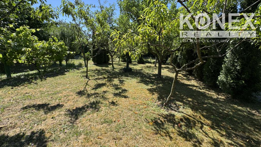 ID-4346 NOVINKA Rekreačná záhradka s chatkou – MICHALOVCE