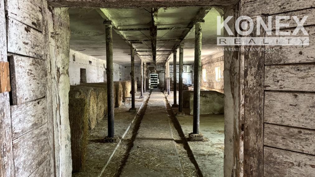 ID-4515 PRENÁJOM POĽNOHOSPODÁRSKYCH POZEMKOV na chov a pestovanie - TUŠICE