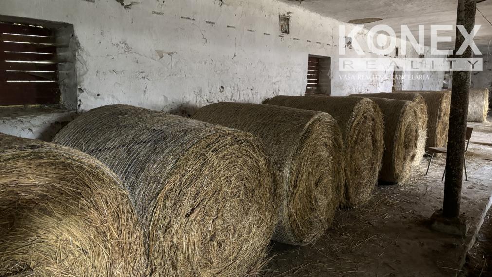 ID-4515 PRENÁJOM POĽNOHOSPODÁRSKYCH POZEMKOV na chov a pestovanie - TUŠICE