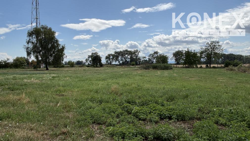 ID-4515 PRENÁJOM POĽNOHOSPODÁRSKYCH POZEMKOV na chov a pestovanie - TUŠICE
