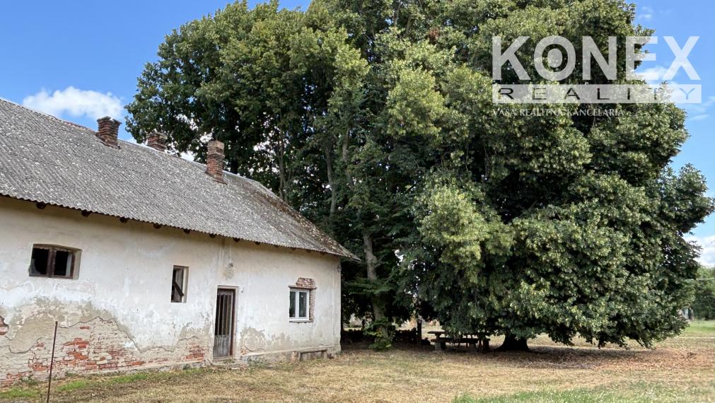 ID-4515 PRENÁJOM POĽNOHOSPODÁRSKYCH POZEMKOV na chov a pestovanie - TUŠICE