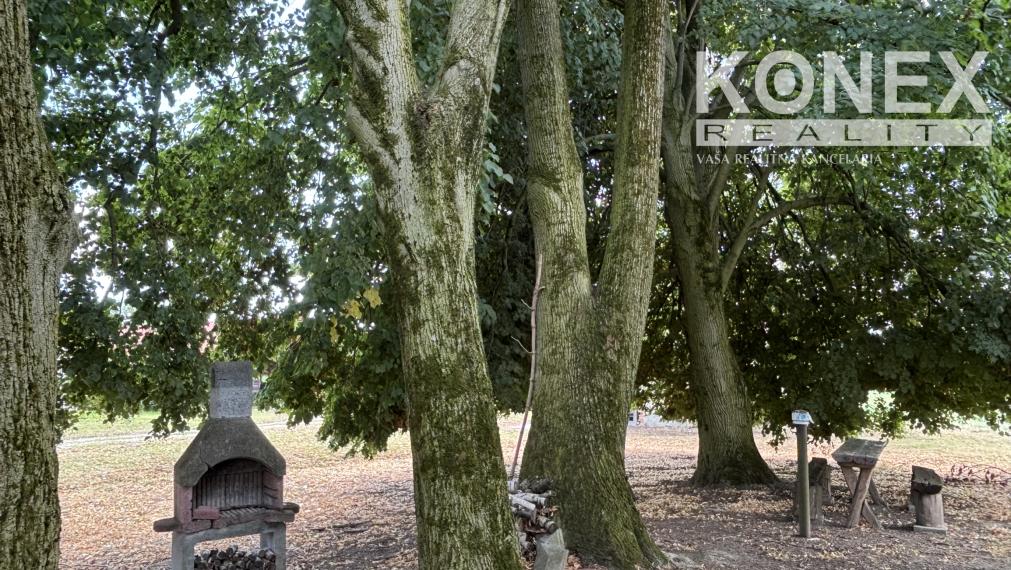 ID-4515 PRENÁJOM POĽNOHOSPODÁRSKYCH POZEMKOV na chov a pestovanie - TUŠICE