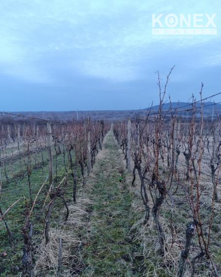 ID-4567 NA PREDAJ Chatka s vinicou - VINIČKY