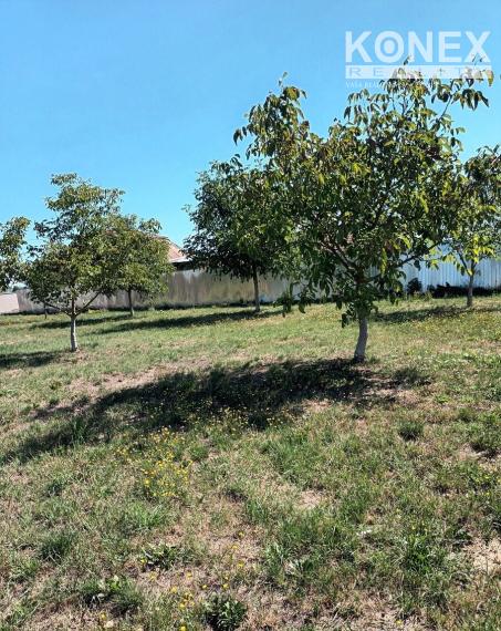 ID-4625 Rozľahlý pozemok (6 900m2) BUDINCE