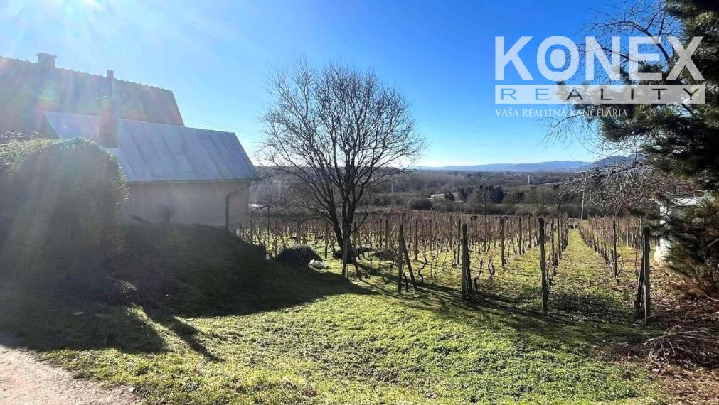 ID-4658 Vinohrad s chatou v Tokajskej oblasti – VINIČKY