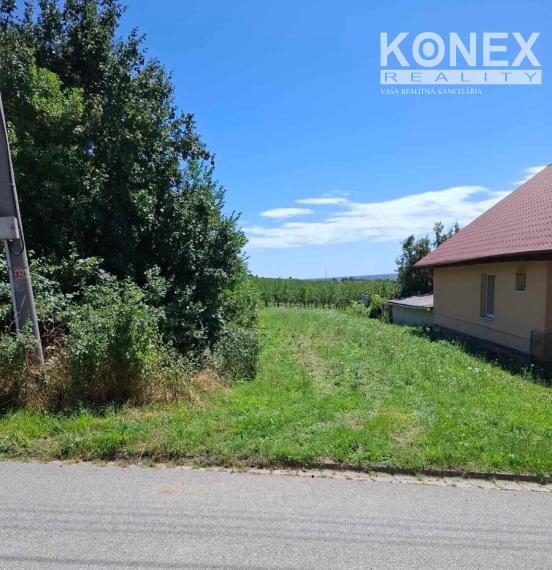 ID-4778 NA PREDAJ POZEMOK - obec Veľká Tŕňa
