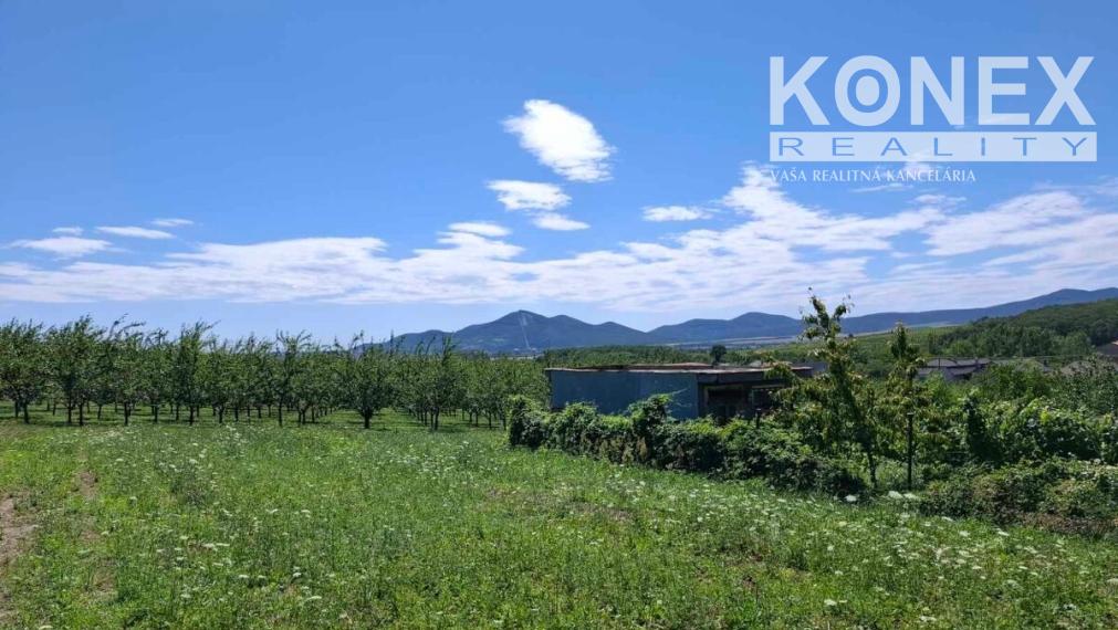 ID-4778 NA PREDAJ POZEMOK - obec Veľká Tŕňa