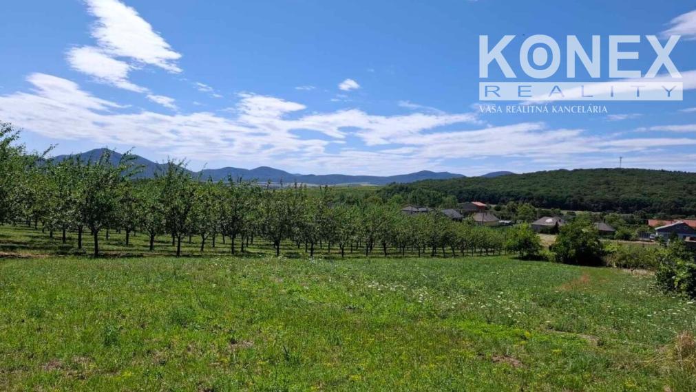 ID-4778 NA PREDAJ POZEMOK - obec Veľká Tŕňa