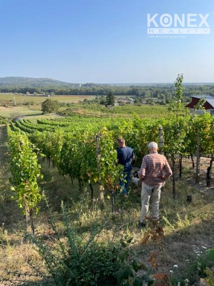 ID-4825 NA PREDAJ Vinohrad s chatkou - k. ú. VINIČKY