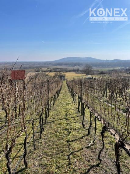 ID-4825 NA PREDAJ Vinohrad s chatkou - k. ú. VINIČKY