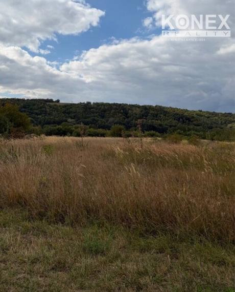 ID-4905 NA PREDAJ Pozemok - orná pôda - Ľubiša