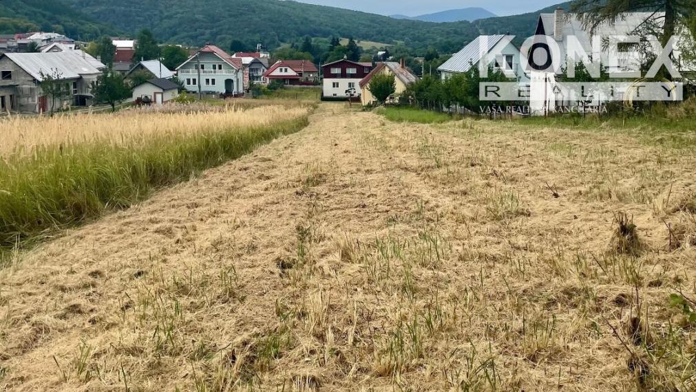 ID-4924 NA PREDAJ POZEMOK - obec BELOVEŽA, okres Bardejov