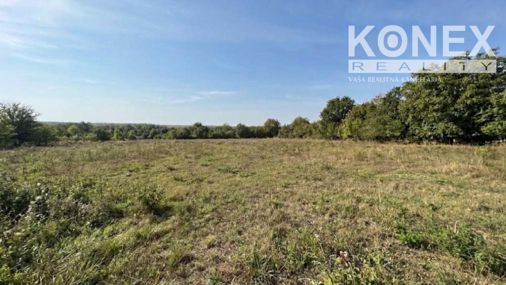 ID-4932 NA PREDAJ priestranný pozemok na výstavbu rodinného domu – Rakovec nad Ondavou