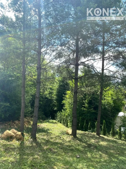 ID-4995 NA PREDAJ Pozemok na výstavbu rekreačnej chaty - DOMAŠA - Dobrá