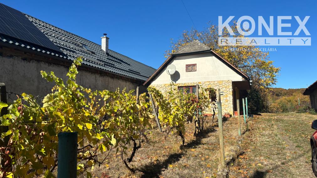 ID-5008 JEDINEČNÁ PRÍLEŽITOSŤ! Rekreačná chalúpka v TOKAJSKEJ OBLASTI