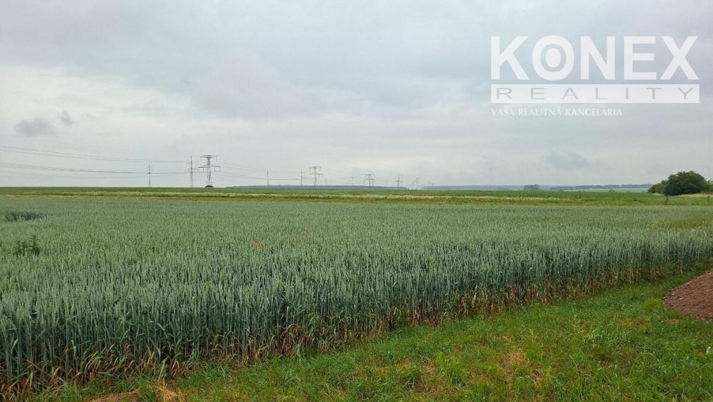 ID-5040 NA PREDAJ POZEMOK - Orná pôda - obec LAŠKOVCE