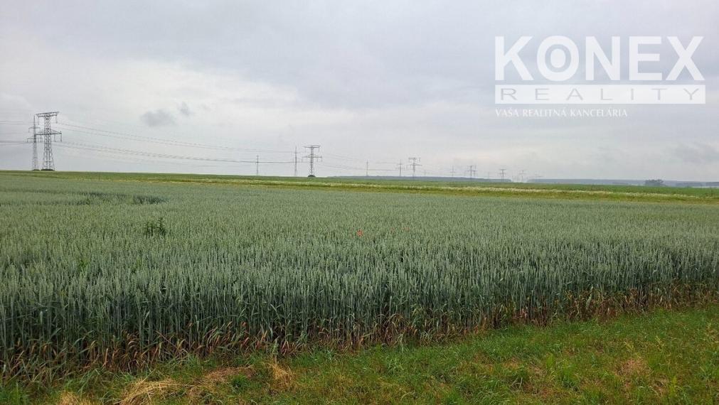 ID-5040 NA PREDAJ POZEMOK - Orná pôda - obec LAŠKOVCE