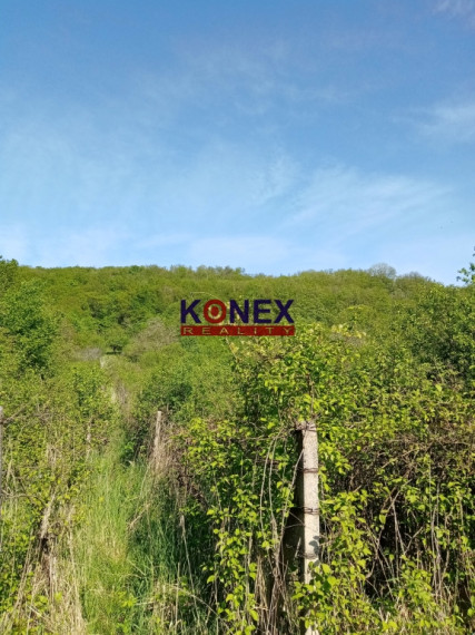 SUPER PONUKA! Na predaj vinica nad obcou Trnava pri Laborci