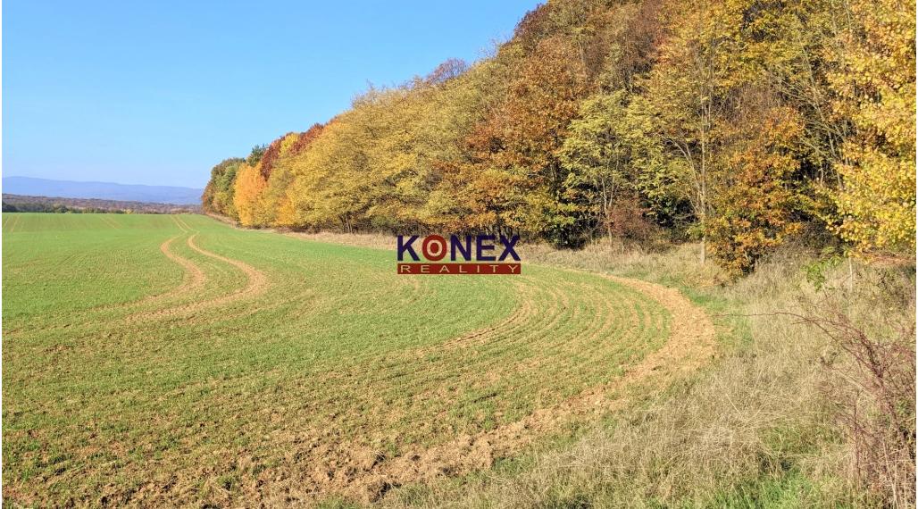 NA PREDAJ! Jesenné pozemky v okrese Poltár