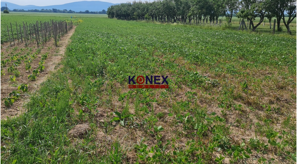 Orná pôda – Nižný Hrušov