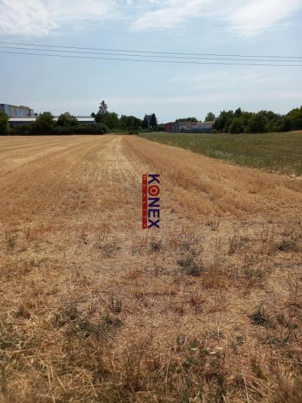 Na predaj pozemok na výstavbu rodinného domu v Michalovciach