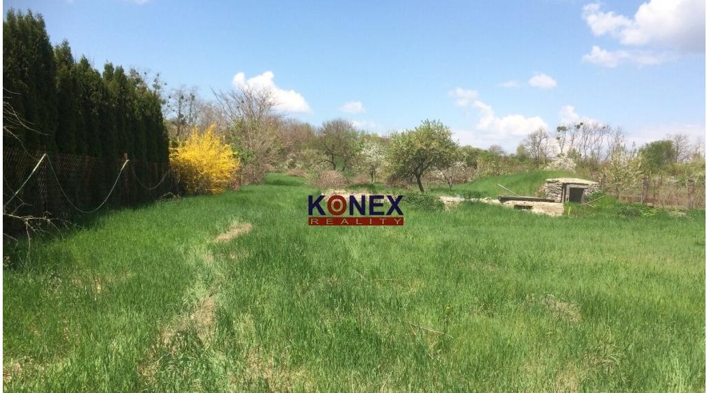 NA PREDAJ – Veľký stavebný pozemok v obci Somotor