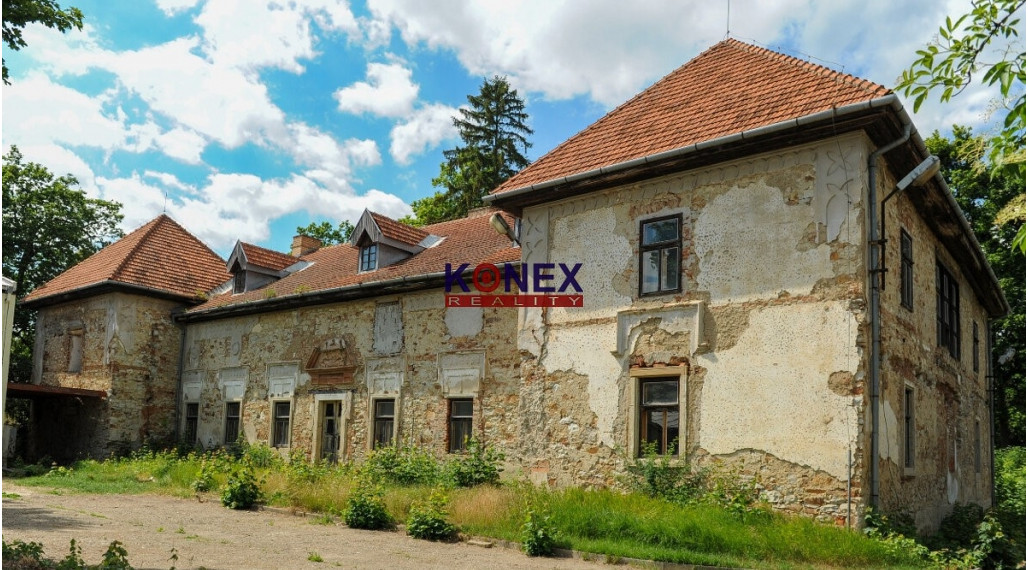 ZAUJÍMAVÁ INVESTIČNÁ PONUKA! Unikátny kaštieľ v obci pri Michalovciach