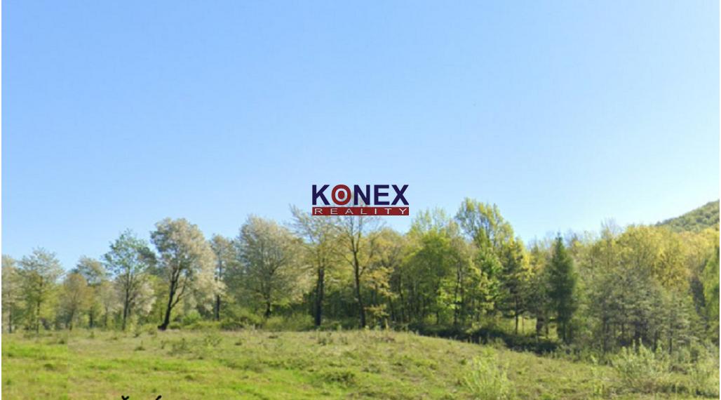 Lesný pozemok v k. ú. Zemplínske Hámre