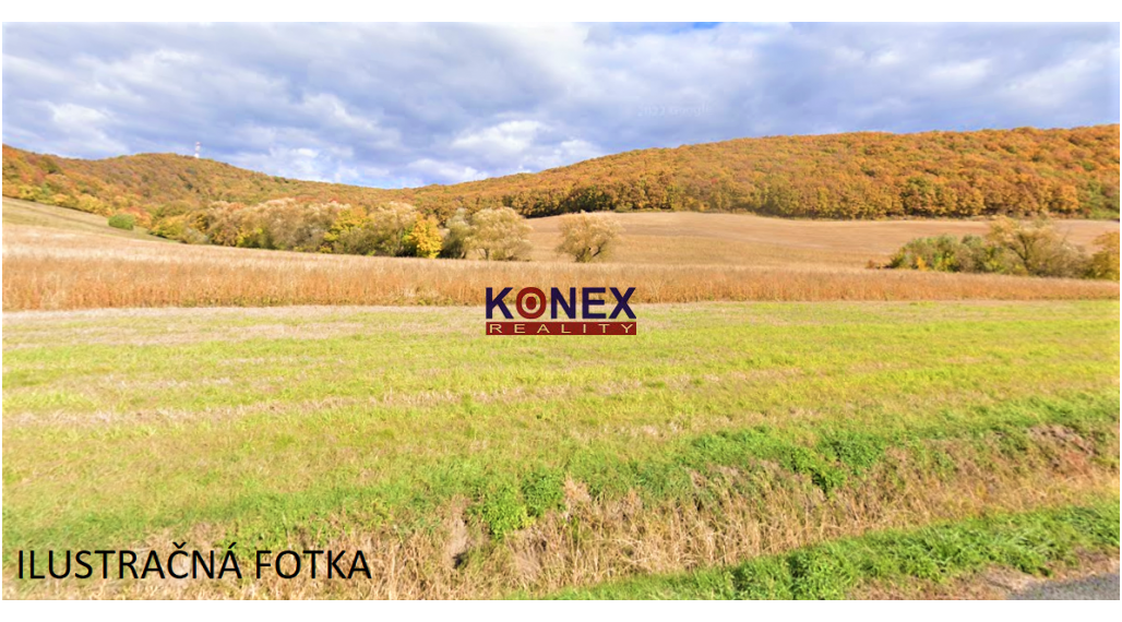 POĽNOHOSPODÁRSKE POZEMKY- Trnava pri Laborci, Zbudza